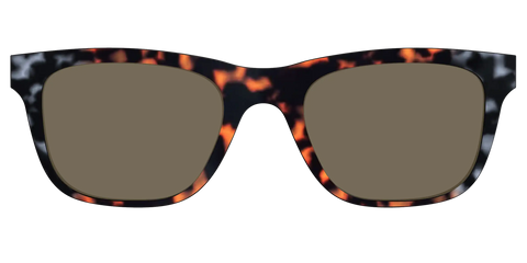 The Polarized Gray & Amber Tortoise Sun Top