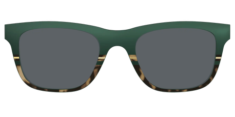 The Polarized Spruce Tortoise Sun Top