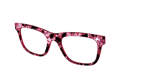 The Raspberry Pearl Tortoise