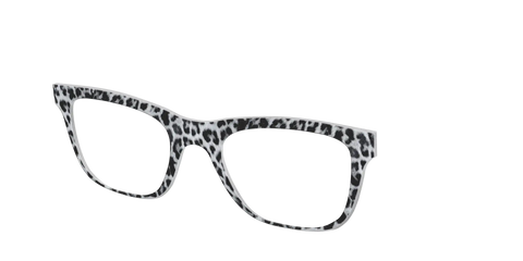 The Snow Leopard Spots