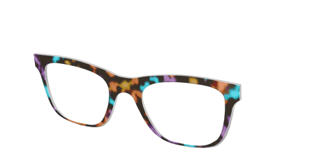 The Summer Tortoise