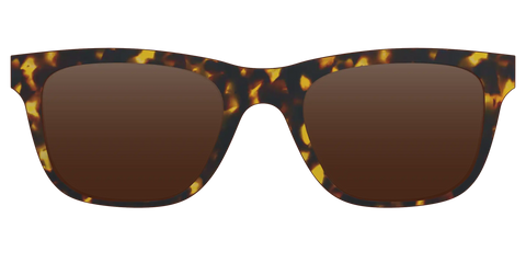 The Polarized Tortoise Sun Top