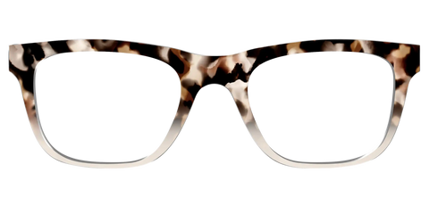 The Vanilla Latte Tortoise