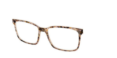 The Almond Tortoise with Gold Streaks