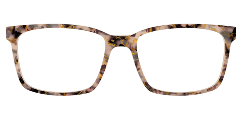 The Almond Tortoise with Gold Streaks