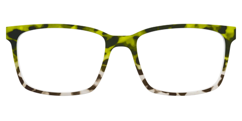 The Avocado to Ivory Tortoise