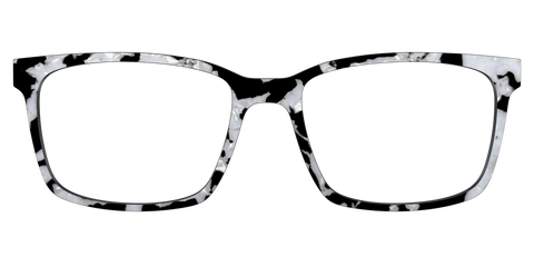The Black & White Pearl Tortoise