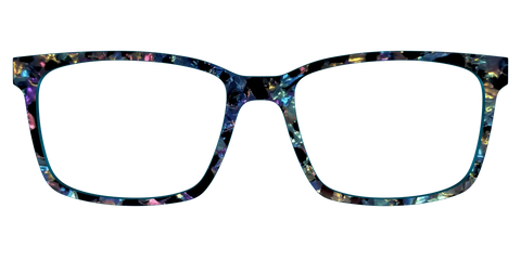 The Black Prismatic Pearl Tortoise