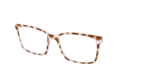 The Caffé Tortoise