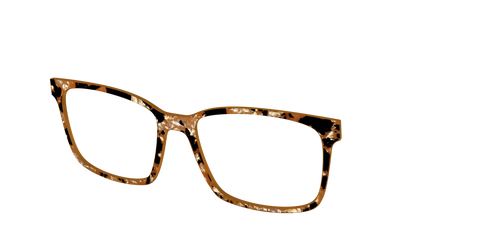 The Caramel Pearl Tortoise