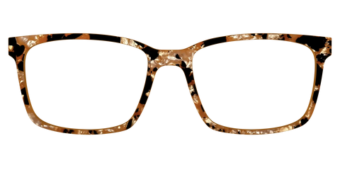 The Caramel Pearl Tortoise