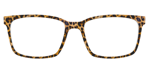 The Cheetah Spots