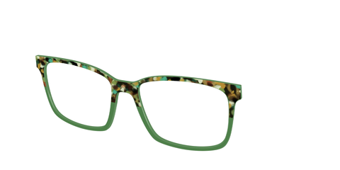 The Forest Tortoise Crystal Split