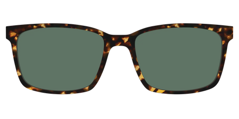 The Non-Polarized Green Tortoise Sun Top