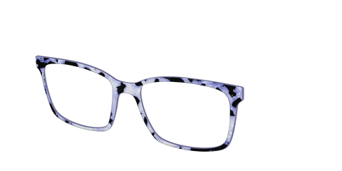 The Lilac Pearl Tortoise