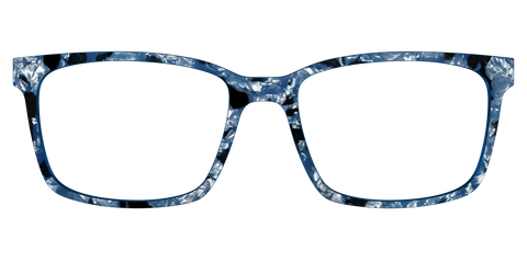 The Midnight Blue Pearl Tortoise