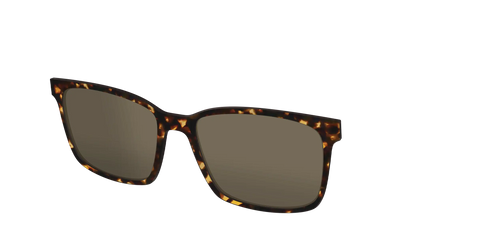 The Non-Polarized Tortoise Sun Top