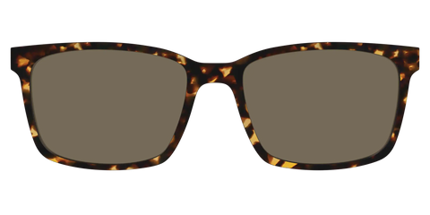 The Non-Polarized Tortoise Sun Top
