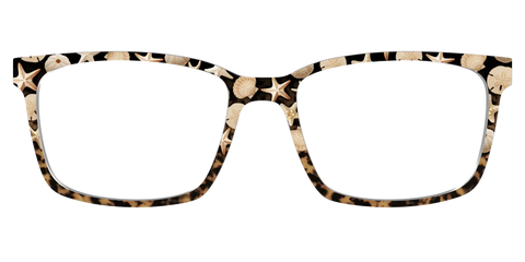 The Ocean Treasures Tortoise