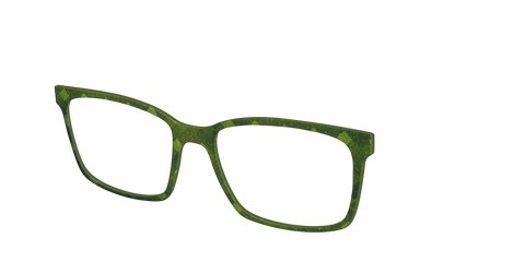 The Olive Geo