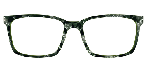 The Olive Pearl Tortoise