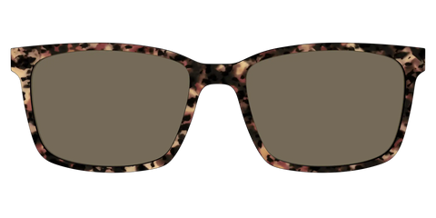The Polarized Sienna Tortoise Sun Top