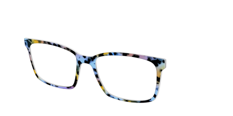 The Positano Tortoise