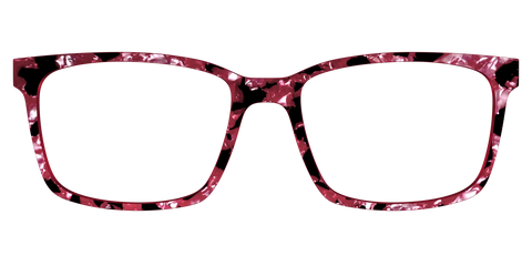 The Raspberry Pearl Tortoise