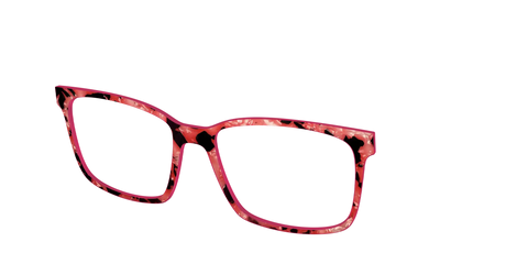 The Red Agate Pearl Tortoise