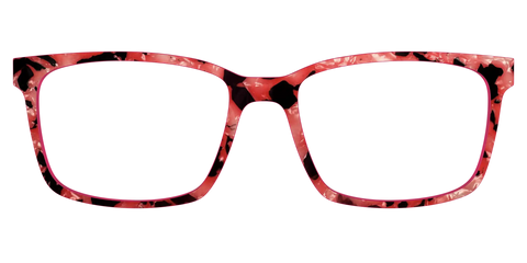 The Red Agate Pearl Tortoise
