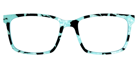 The Robin's Egg Pearl Tortoise