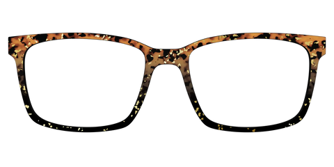 The Rustic Gold Leaf Tortoise