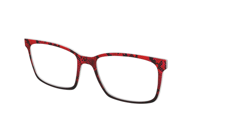 The Statement Snakeskin