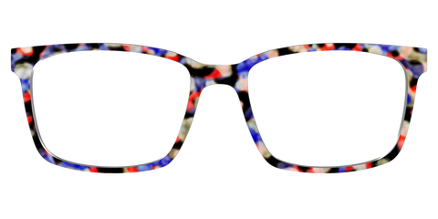 The Tempo Tortoise