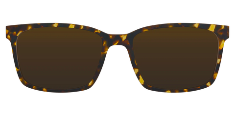 The Polarized Tortoise Sun Top