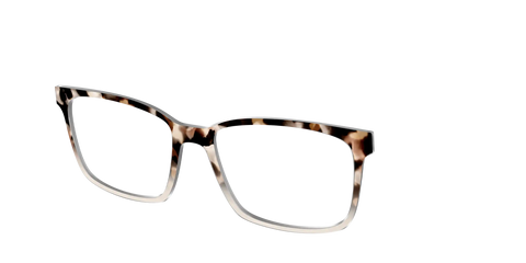 The Vanilla Latte Tortoise
