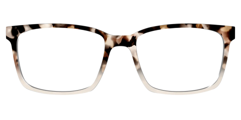 The Vanilla Latte Tortoise
