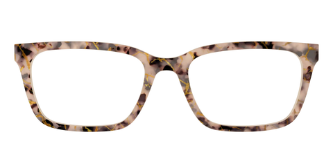 The Almond Tortoise with Gold Streaks