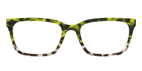The Avocado to Ivory Tortoise