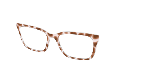 The Caffé Tortoise
