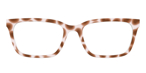 The Caffé Tortoise