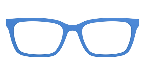 The Cornflower Blue