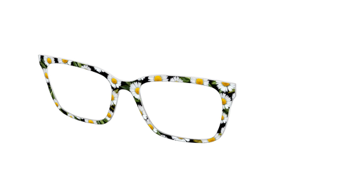 The Delicate Daisies