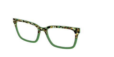 The Forest Tortoise Crystal Split