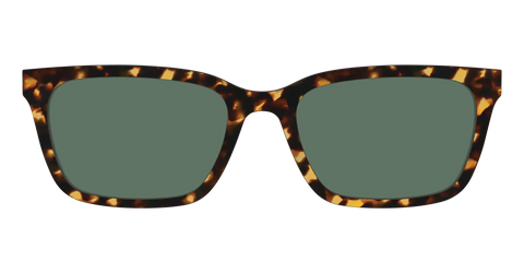 The Non-Polarized Green Tortoise Sun Top