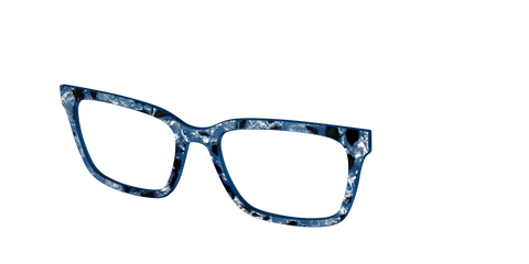 The Midnight Blue Pearl Tortoise