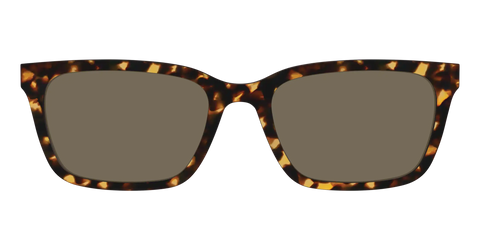The Non-Polarized Tortoise Sun Top