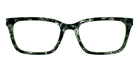 The Olive Pearl Tortoise
