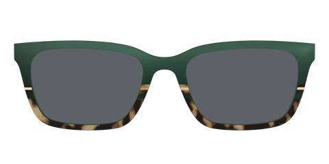 The Polarized Spruce Tortoise Sun Top