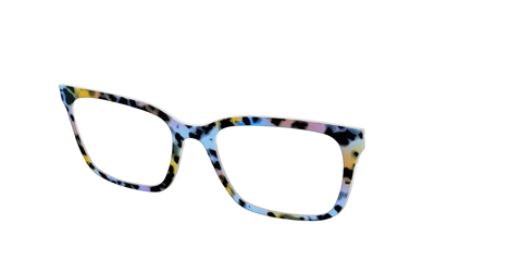 The Positano Tortoise